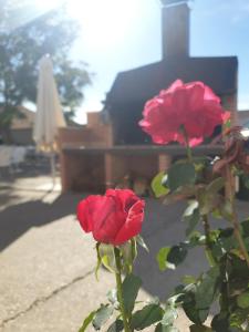 ImagenHostal la Horra 3