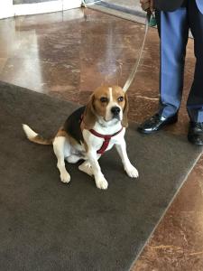 ImagenHotel Tres Reyes Pamplona 3