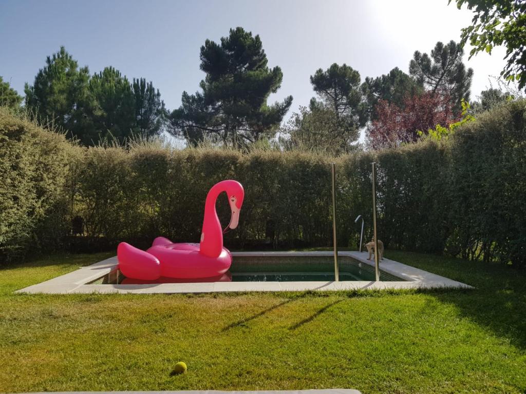 Hotel Boutique Pinarimagen principal