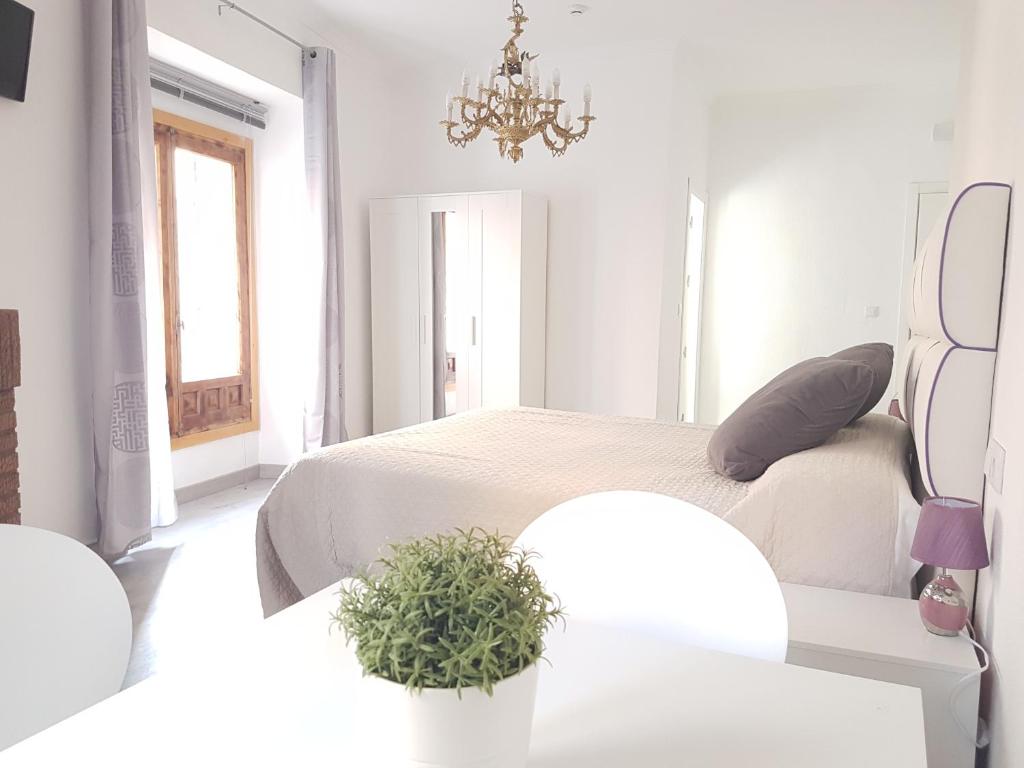 Casa Botesimagen principal