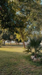 ImagenEl Encuentro 4