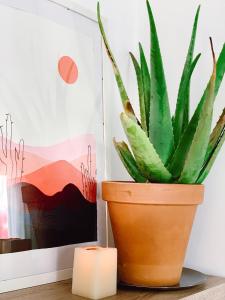 ImagenEl Encuentro 8