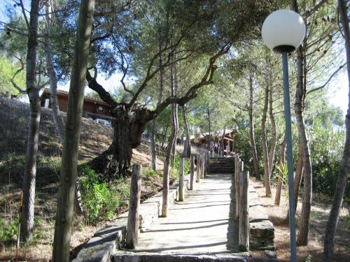 ImagenCortijo Huerta Dorotea 1