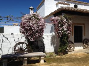 ImagenCortijo Huerta Dorotea 4