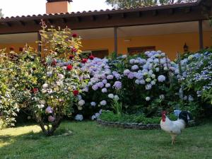 ImagenHotel Rural El Retiro de San Pedro 3