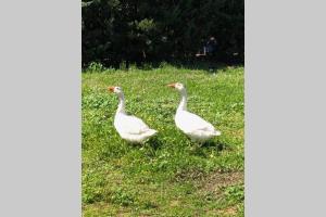 ImagenDonde parece que el Sol nace 5