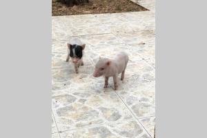 ImagenDonde parece que el Sol nace 6