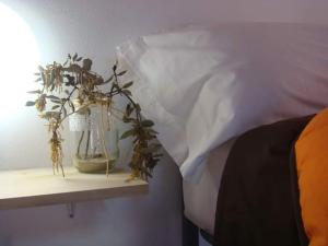 ImagenALBERGUE TURÍSTICO DE CORNALVO 6