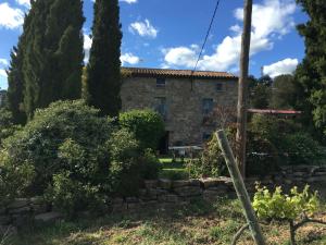 ImagenCeller Colltor 3