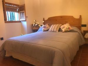 ImagenCal Don Juan 5