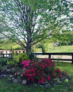 ImagenAgroturismo Anziola 3