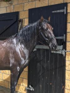 ImagenAgroturismo Anziola 8