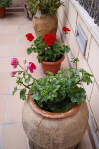 ImagenHostal Peñacárdena 6