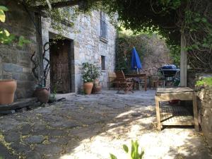 ImagenCeller Colltor 4