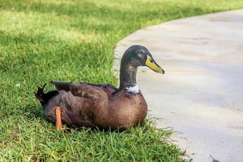 ImagenHotel Rural Terrablanca 1