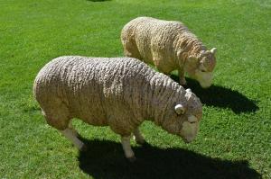 ImagenHotel del Prado 6