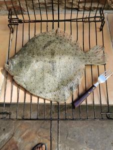 ImagenHabitación Barbacoa. Cuadruple con patio. 3