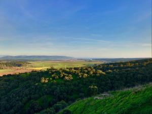 ImagenCASA LA FUENTE C Casas Vejer Debra 7
