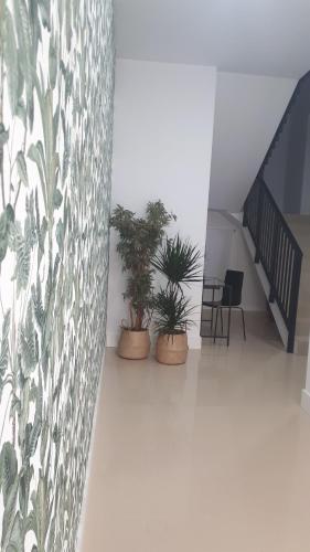 ImagenApartamentos Dacosta 1