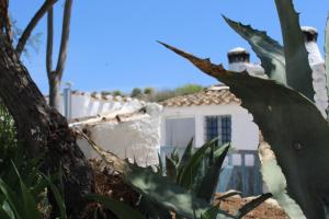 ImagenCueva Las Yeseras 3