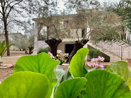 ImagenCasería San José 1