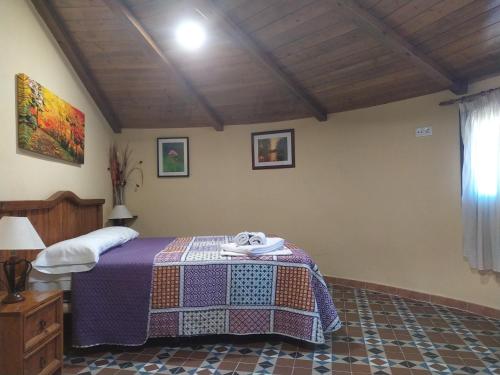 ImagenComplejo Rural Los Chozos 2