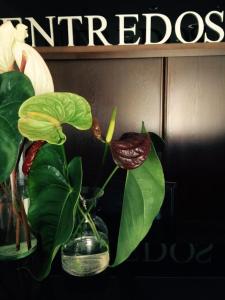 ImagenHotel Entredos 3