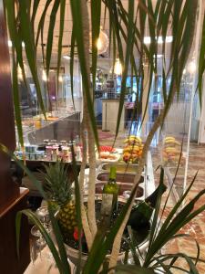 ImagenHotel Claramar 6