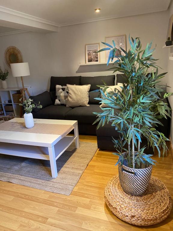 Puro encanto II en el corazón de Santo Domingoimagen principal