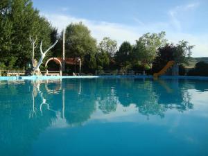 ImagenPicon del Conde 6