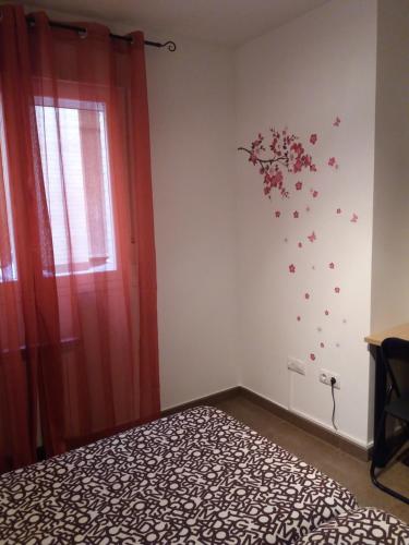 ImagenHostal la Catedral 1