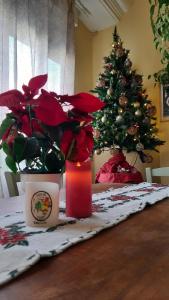 ImagenLive in Chianti Apartaments 4