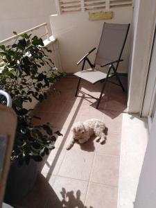 ImagenHabitaciones en Casa compartida Retamar 6