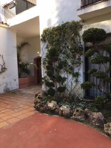 ImagenLarge and elegant in Puerto Banus with pools and paddle 6