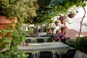 ImagenHostal Soledao 6