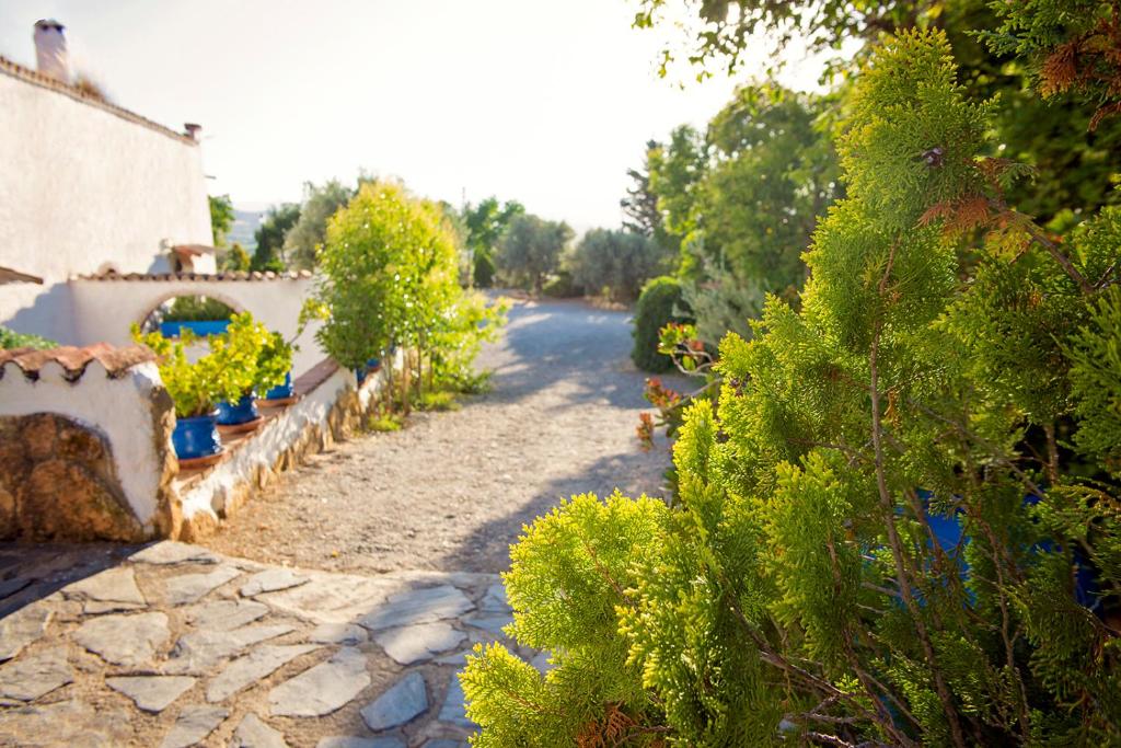 Cuevas de Rolandoimagen principal