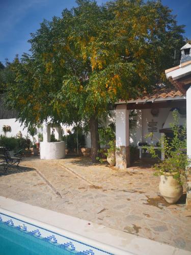 ImagenCasa la serena 6