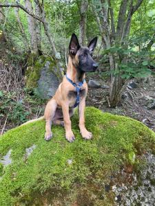 ImagenLa Petite Bohême 5