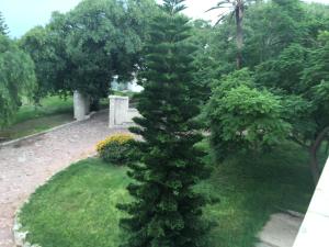 ImagenCalma Beach Apartments 7