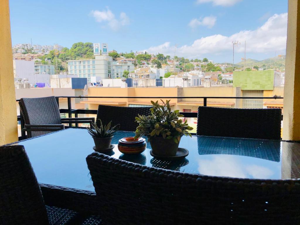 CENTRICO LABRADORES 15imagen principal