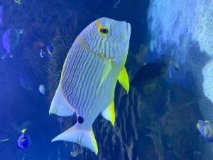 ImagenMarina D Vacaciones 6