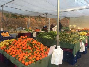 ImagenApartamento La Tramuntana 4