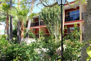 ImagenAPARTAMENTOS PALASIET 5