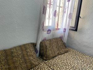 ImagenLa siesta HH 5