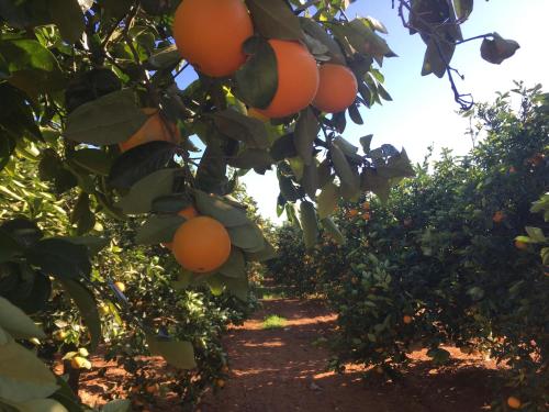 ImagenVilla Entrenaranjos 2