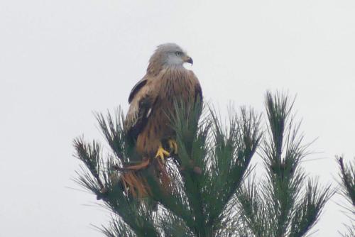 ImagenEn la colina 1 Montañealde 2