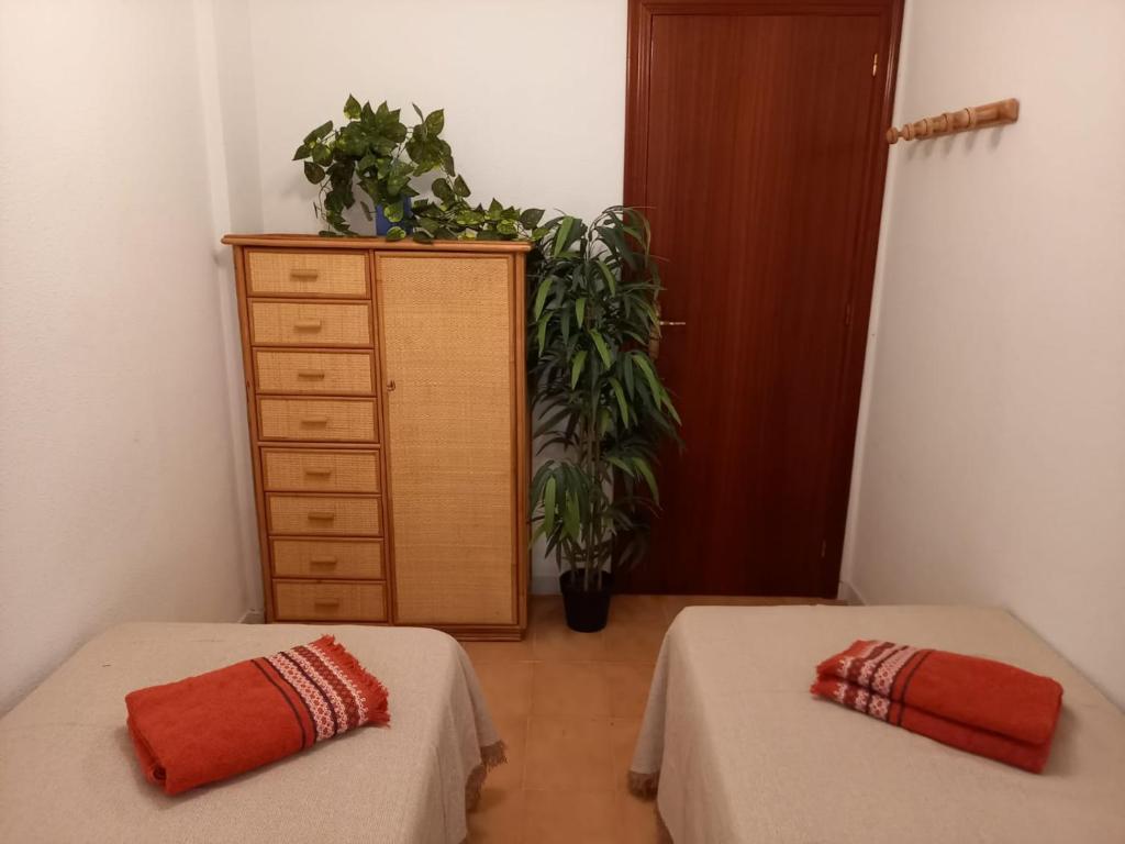 Camelionimagen principal