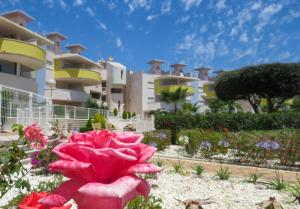 ImagenNovogolf Complex 3