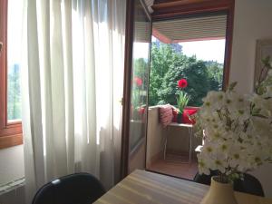 ImagenAmezola Park 3