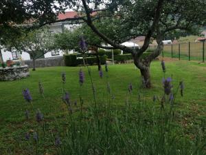 ImagenLa Casa de Colores 6